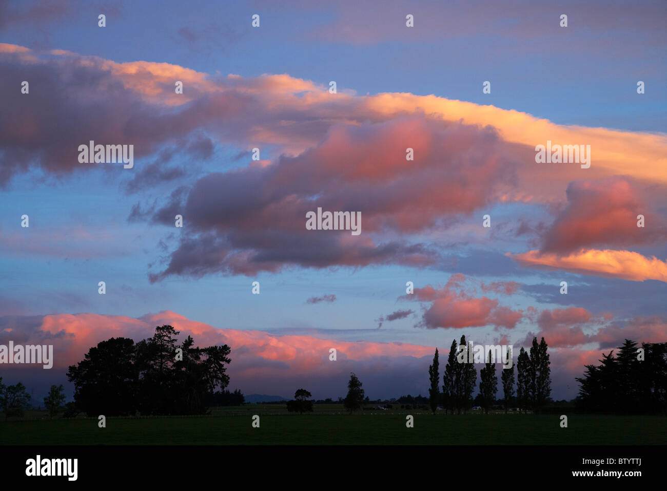 Sunrise over trees and farmland near Carterton, Wairarapa, North Island, New Zealand Stock Photo