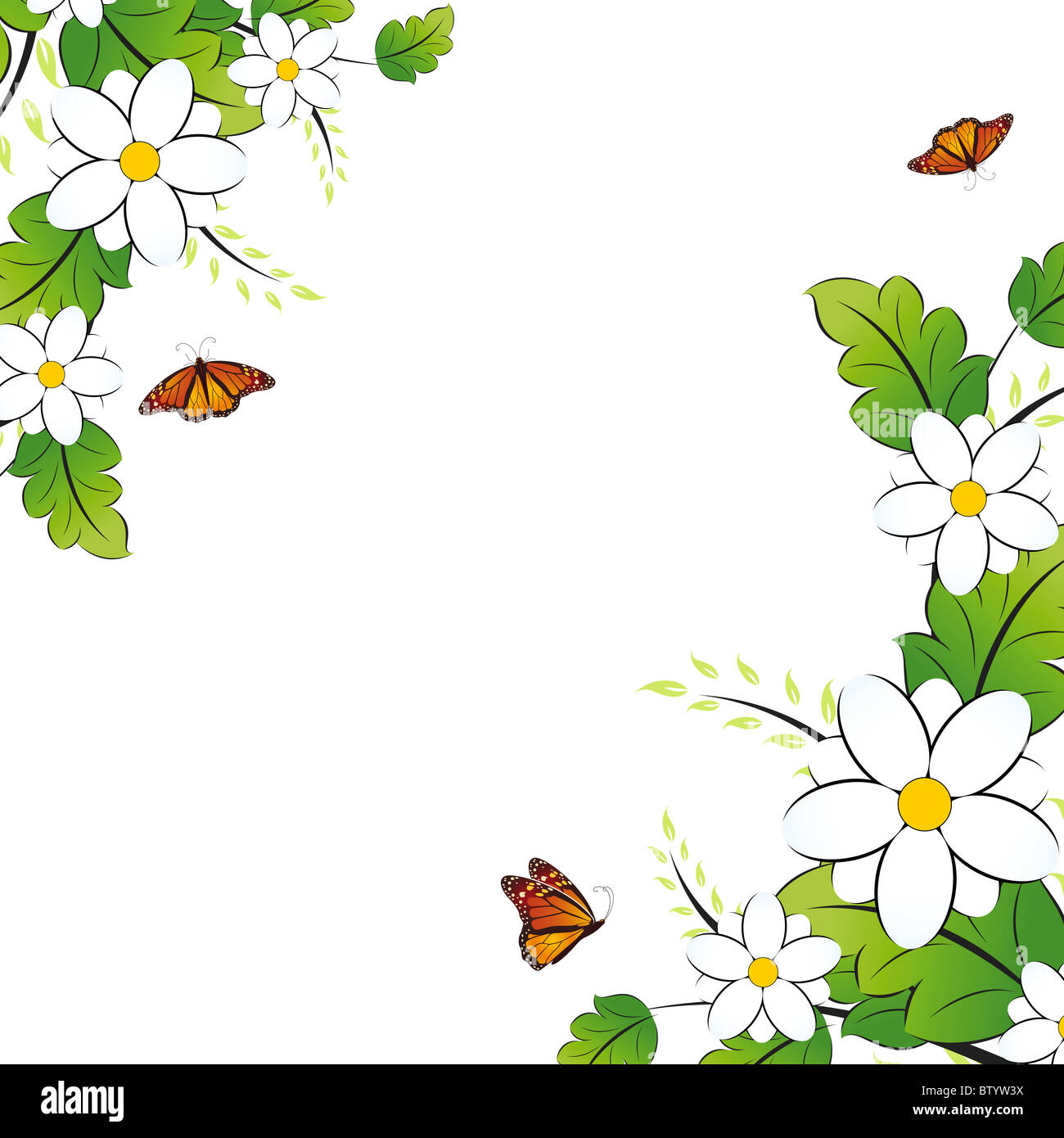 Floral background with butterfly on white. Vector illustration Stock ...