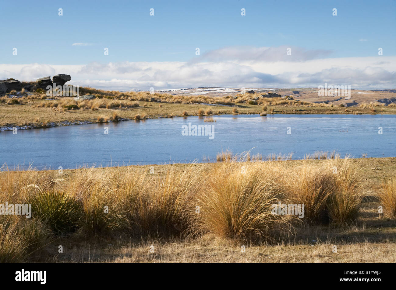 Tussocks and farm pond near middlemarch hires stock photography and