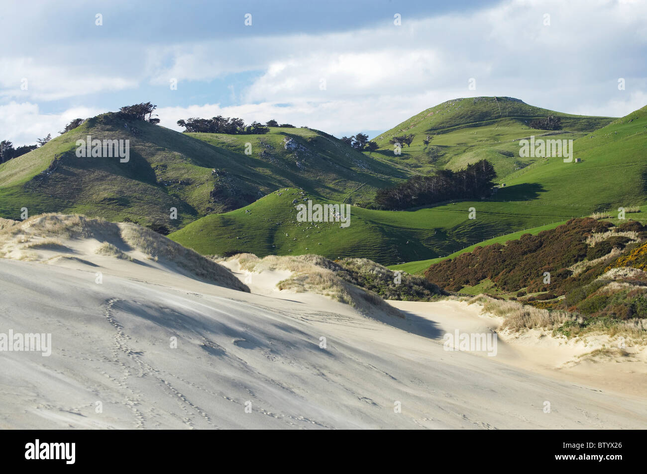 Sand Dunes, Sandfly Bay, Otago Peninsula, Dunedin, Otago, South Island, New Zealand Stock Photo