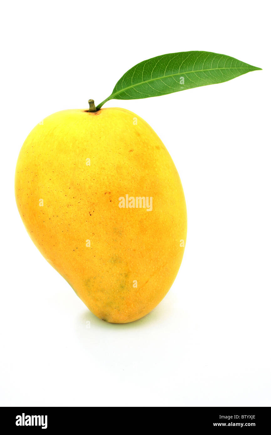 Ripe mango on white Stock Photo