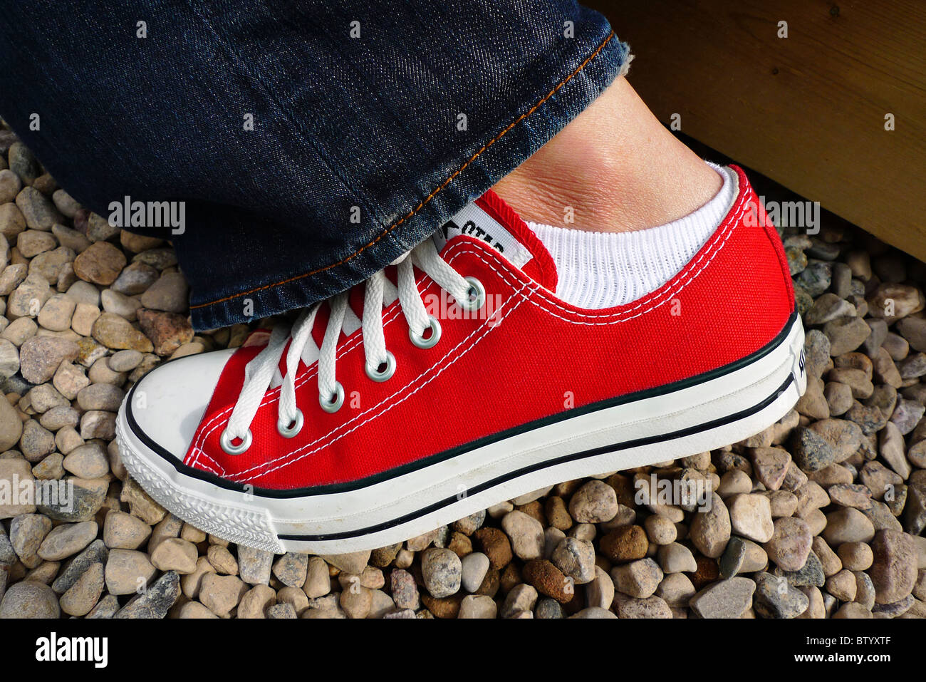 Single female red canvas sneaker. Stock Photo