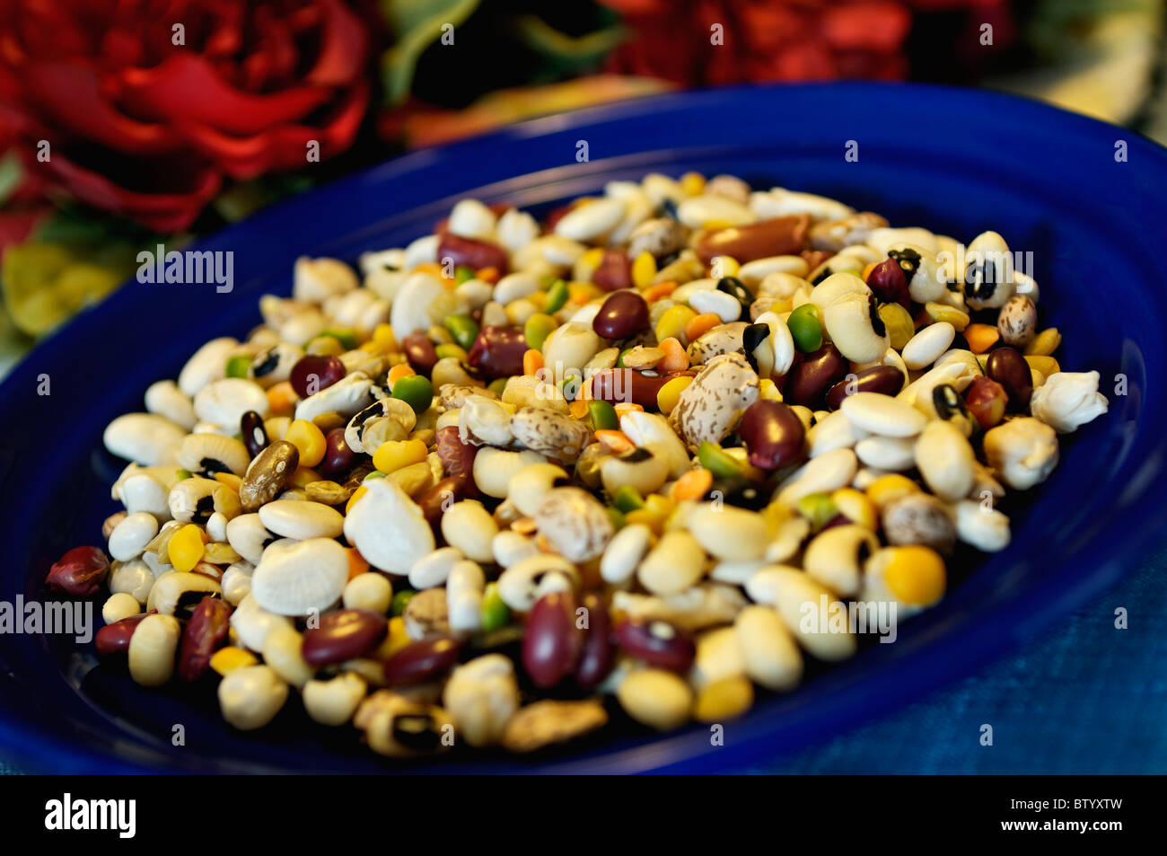 Plate of Uncooked Beans Stock Photo