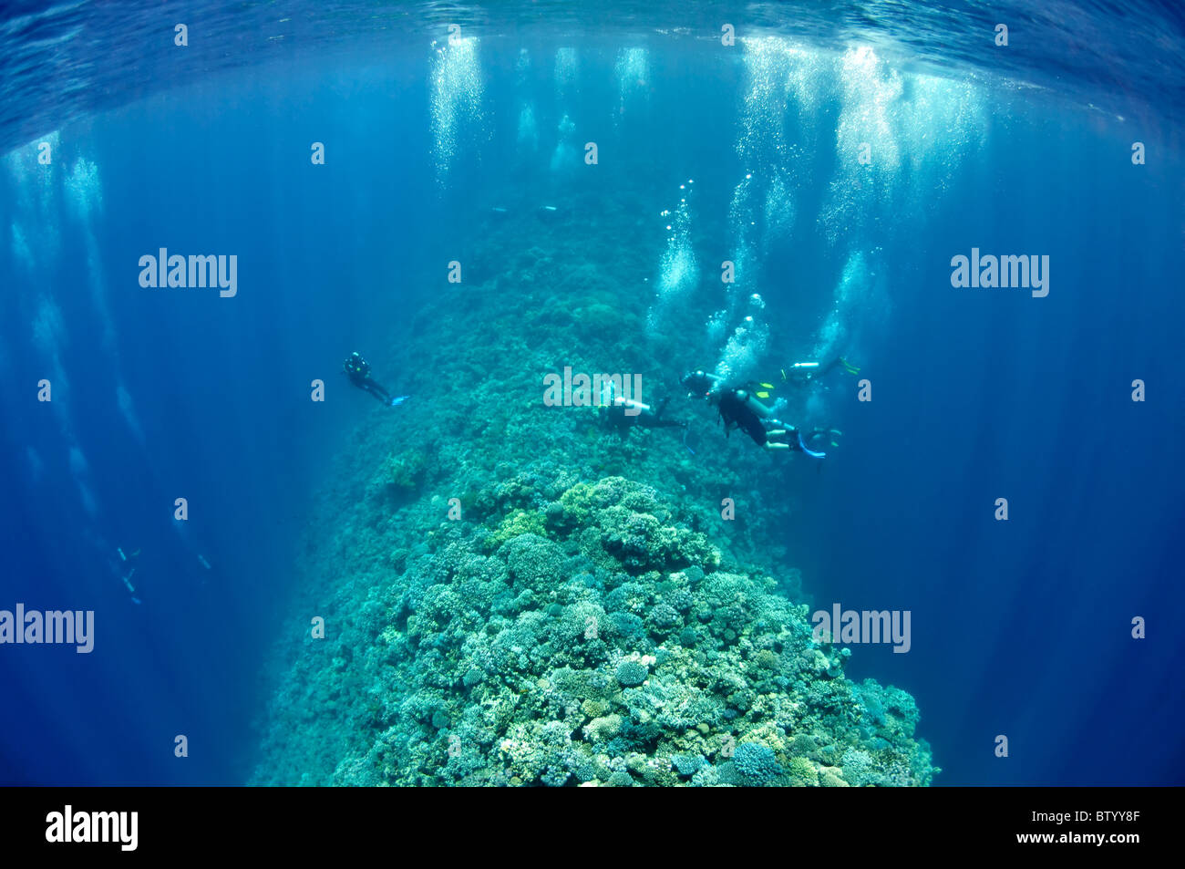 A group of underwater divers is moving along the reef Stock Photo