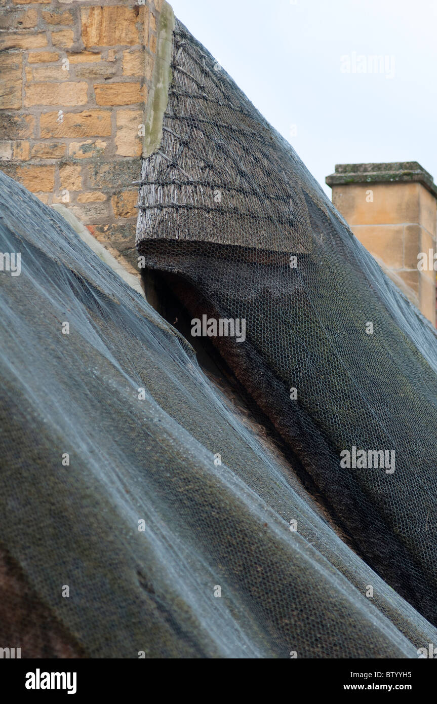 Cotswolds thatched roof houses hires stock photography and images Alamy