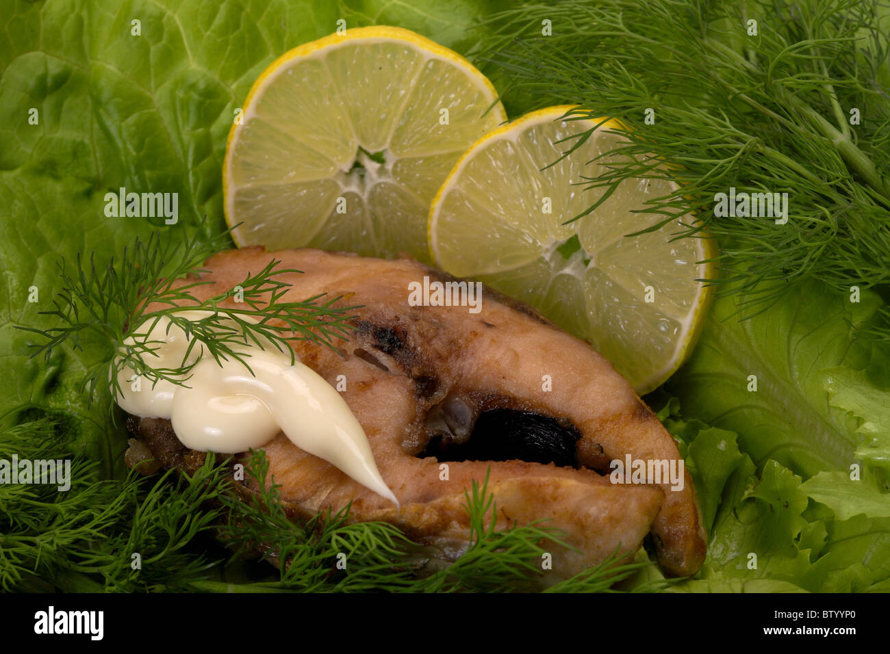 Portion of a fried fish. Served by fennel and leaves of salad. Stock Photo