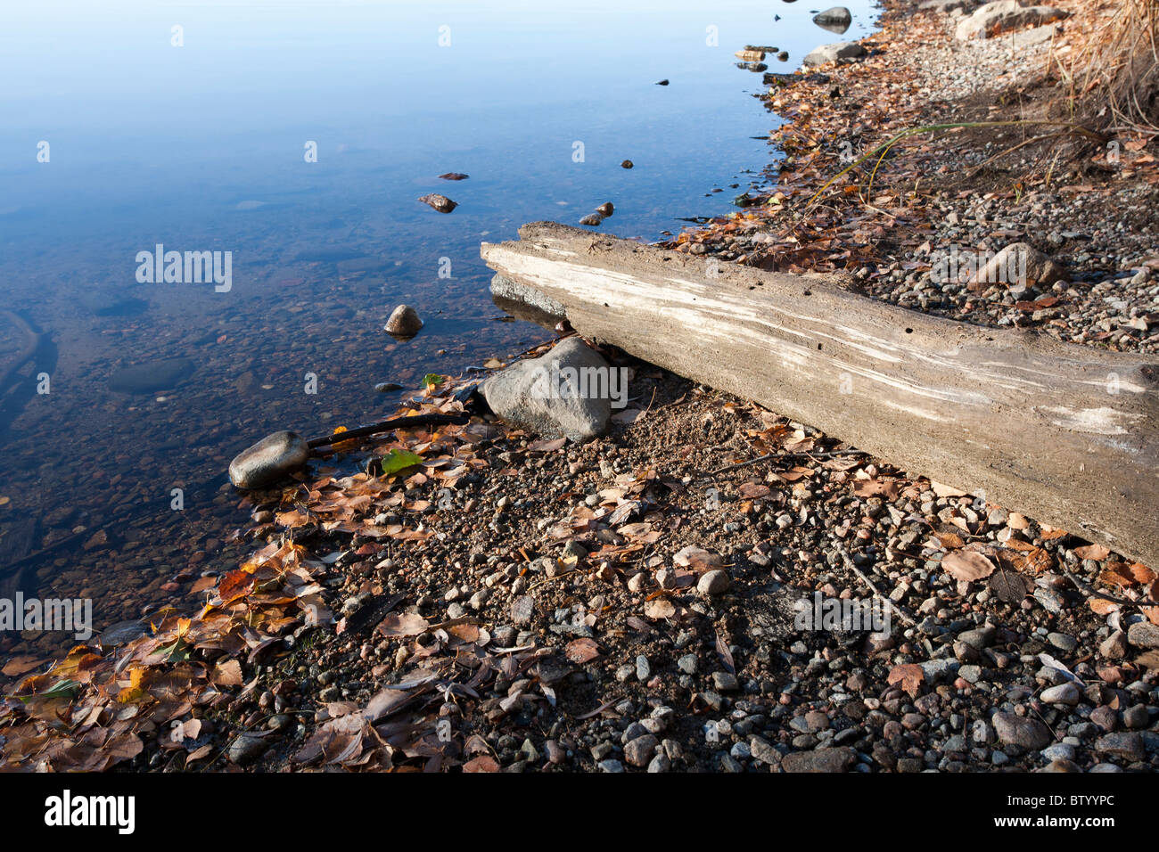 Shoreline texture hi-res stock photography and images - Alamy