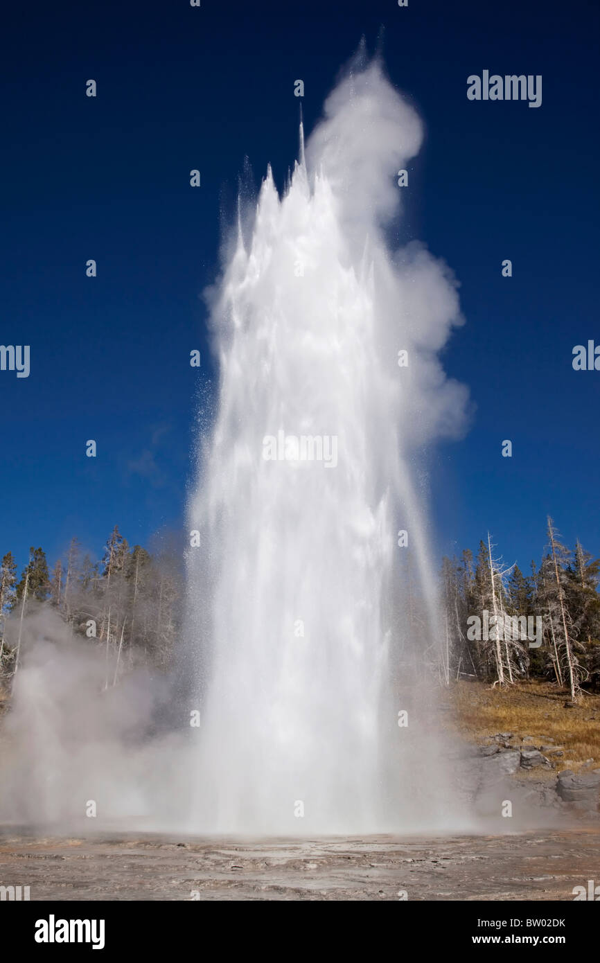 Yellowstone's Grand geyser - the world's tallest predictable geyser Stock Photo