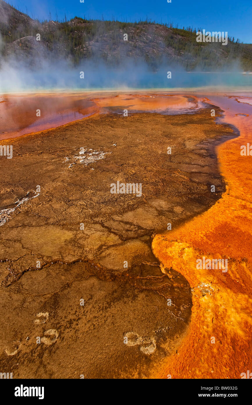 Yellowstone's colorful and incredible Grand Prismatic Spring Stock Photo