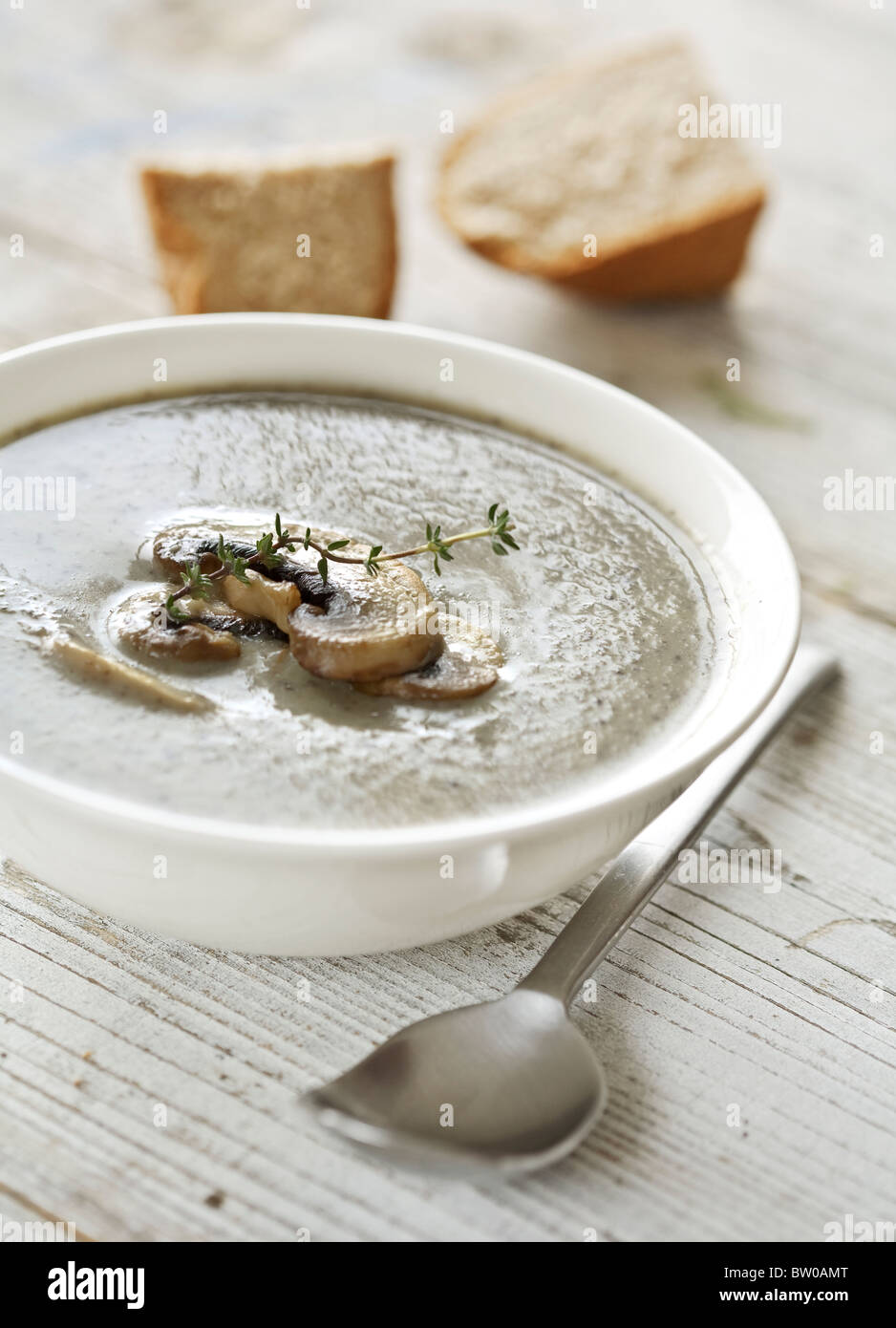 homemade creamy mushrooms soup with thyme Stock Photo