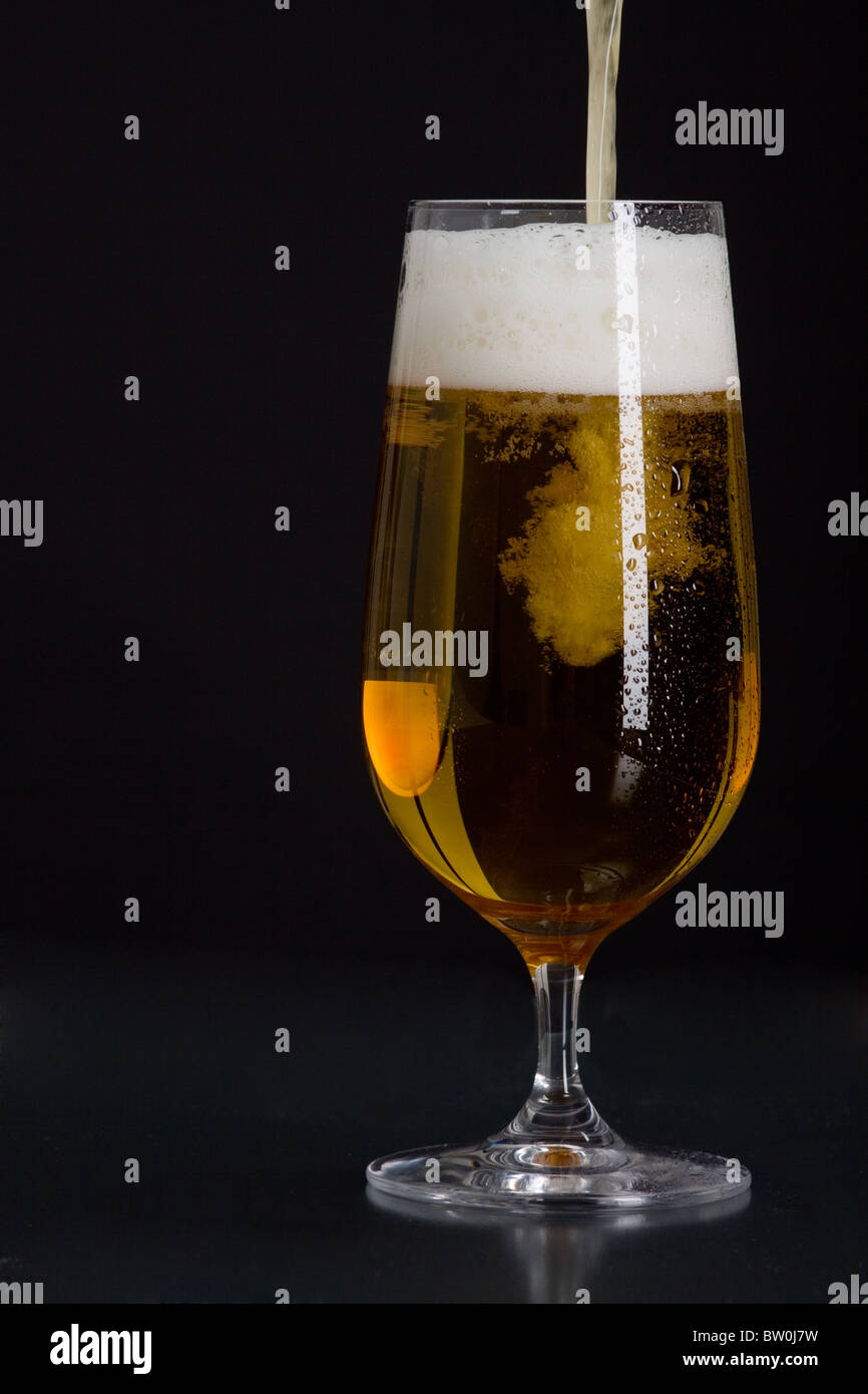beer in a glass Stock Photo