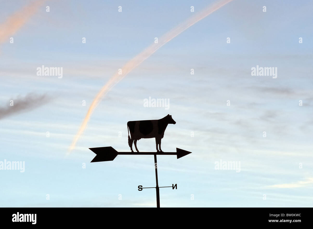 A weather vane with a cow Stock Photo