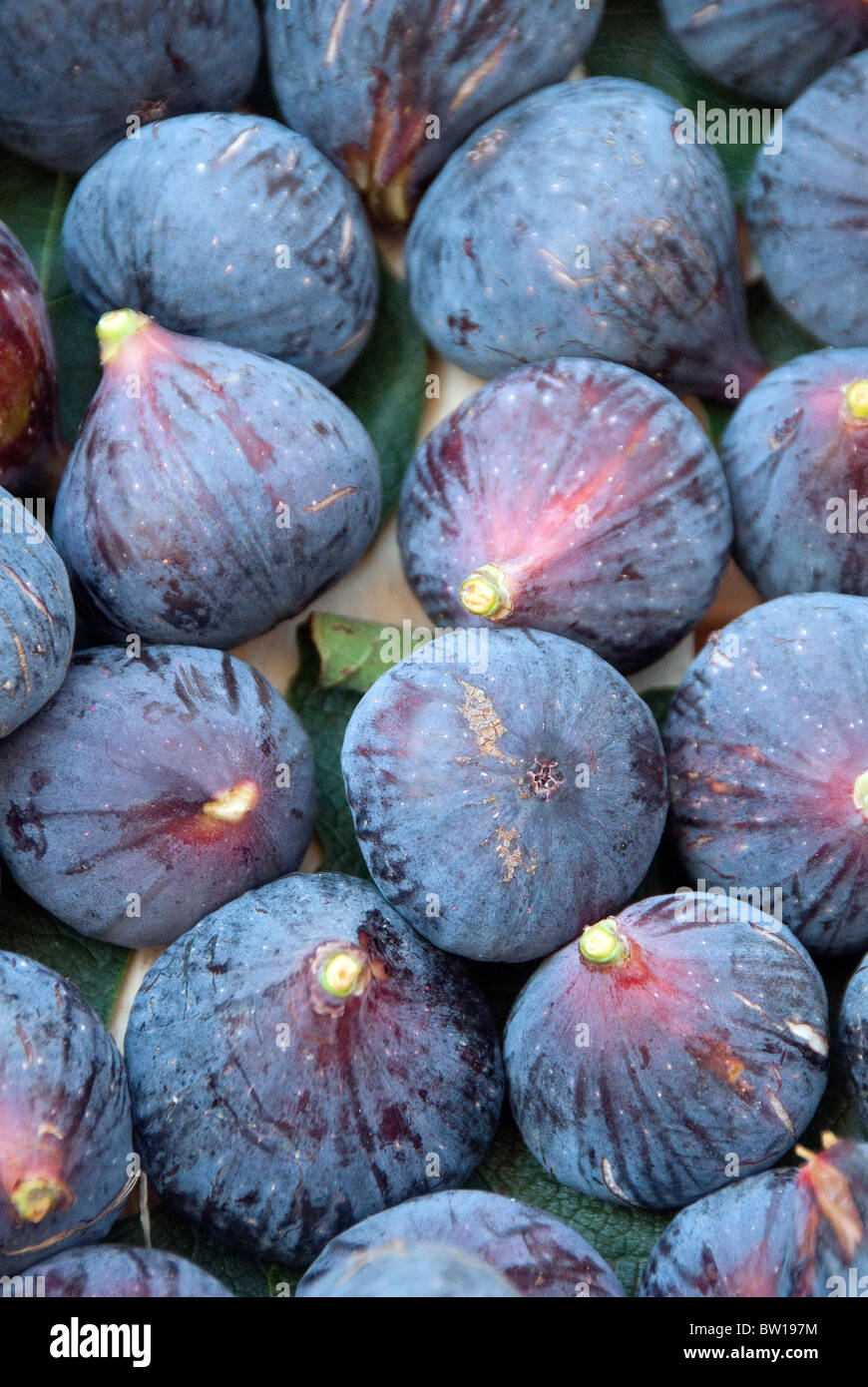 Fresh figs on sale in Umbria Italy Stock Photo