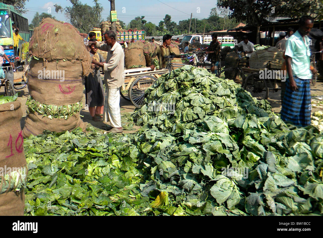 cauliflower, Bangladesh Stock Photo Alamy