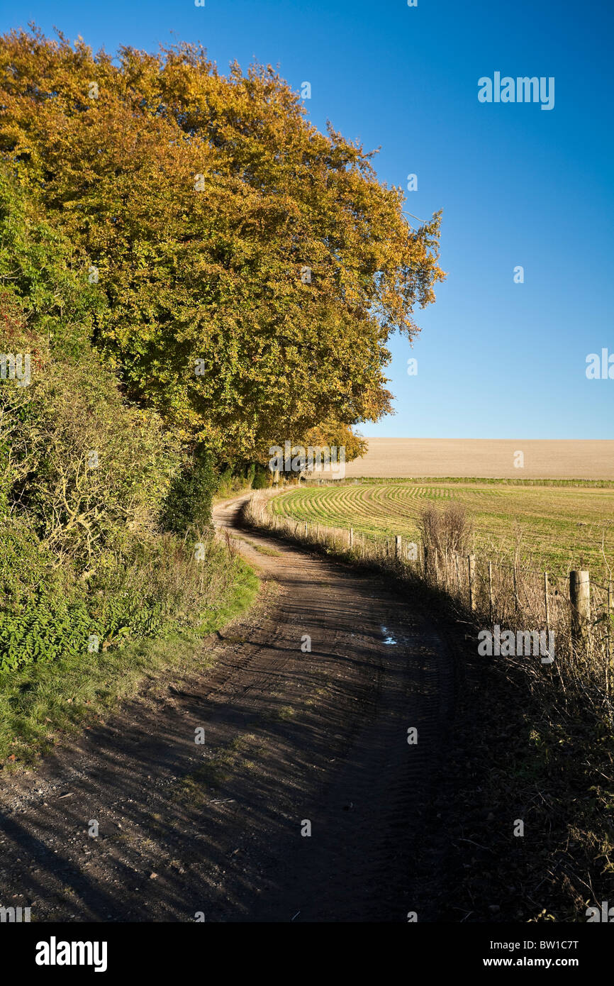 Landscape of Watership Down above Kingsclere Hampshire UK. The setting for Richard Adams book Watership Down Stock Photo