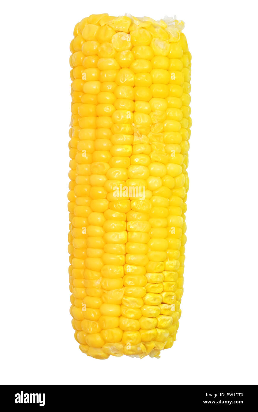 Corn on the cob isolated on white background with clipping path. Stock Photo