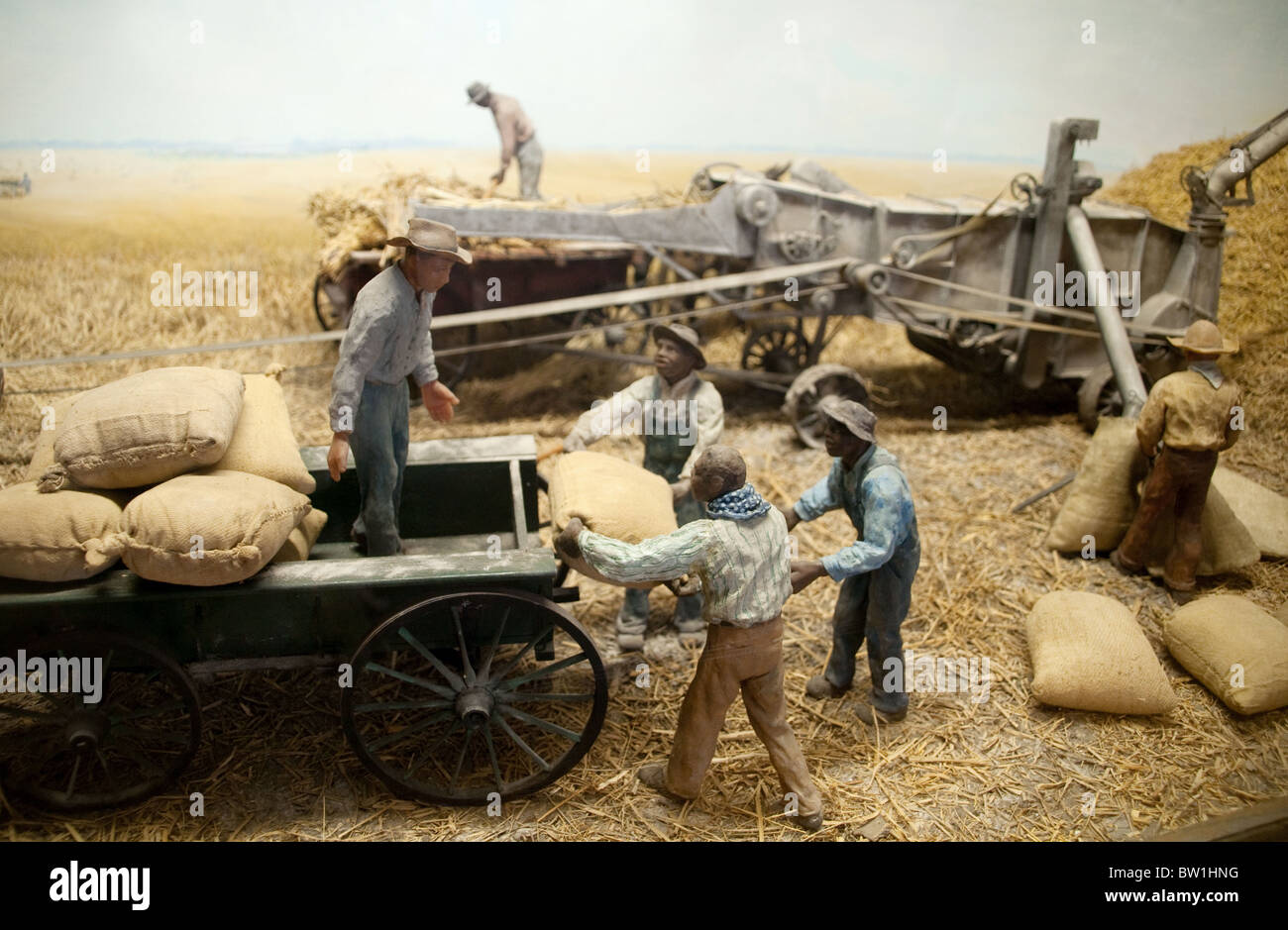 A 19th century rice harvesting scene set on a plantation on the outskirts of Shreveport, Louisiana. Stock Photo