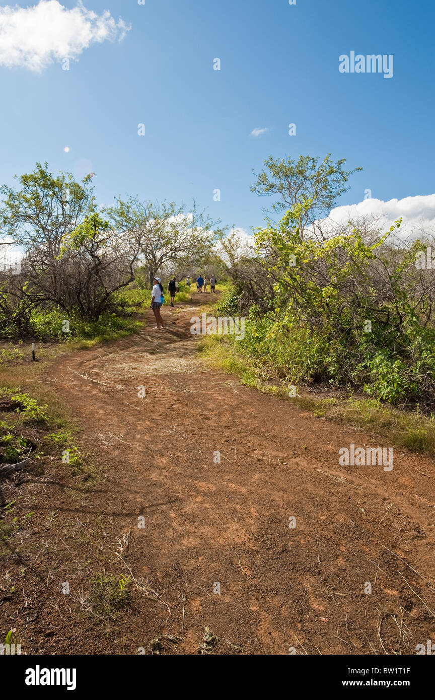 Galapagos Islands, Ecuador. Hiking, Post Office Bay, Isla Santa Maria or Floreana Island. Stock Photo