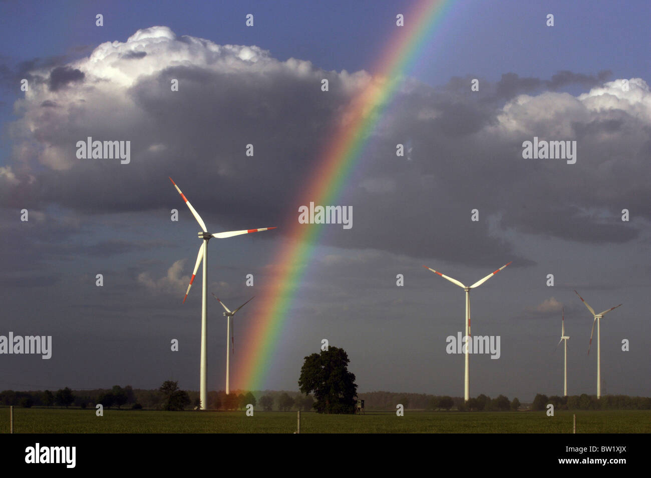 Rainbow over a wind farm, Freiwalde, Germany Stock Photo