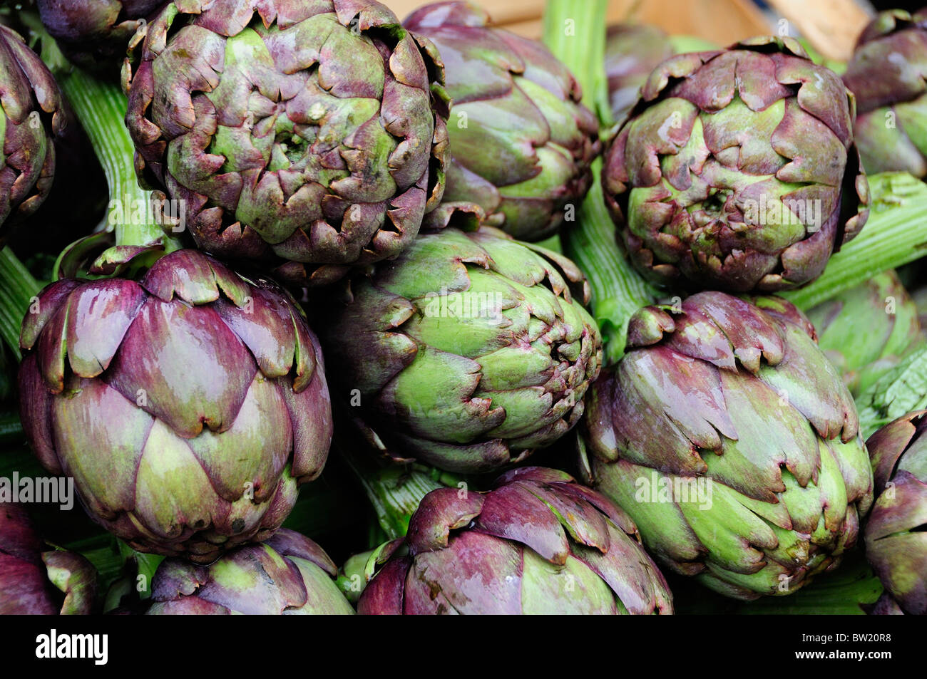 Carciofi rome hi-res stock photography and images - Alamy