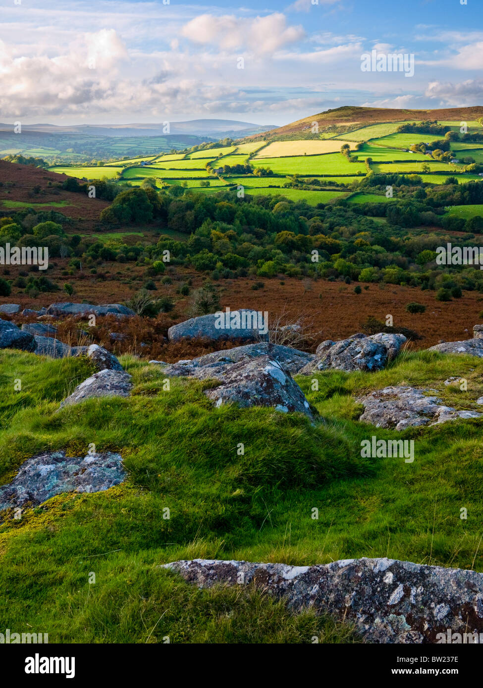 Hayne Down in early autumn near Manaton in Dartmoor National Park