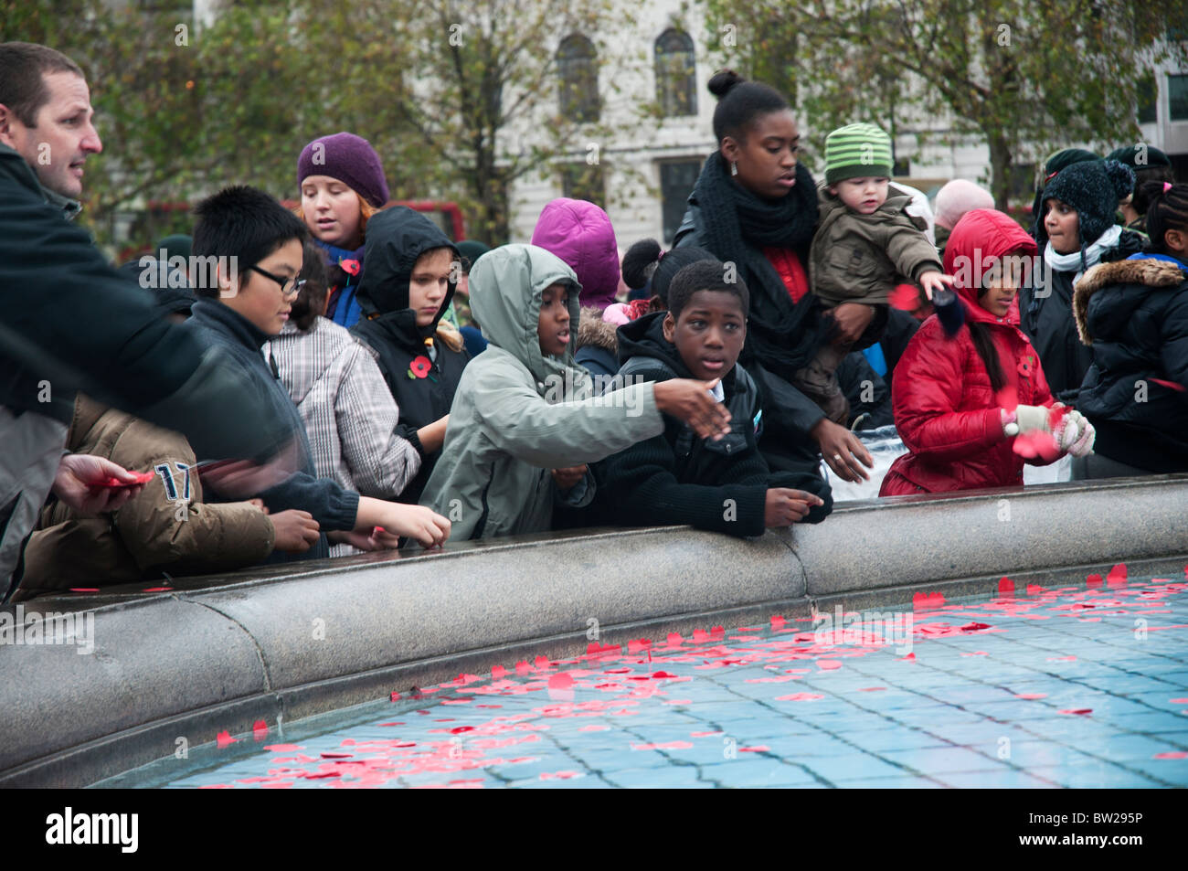 November 11th 2010. Remembrance Day Trafalgar Square. Young children throw poppies into the fountain. Stock Photo