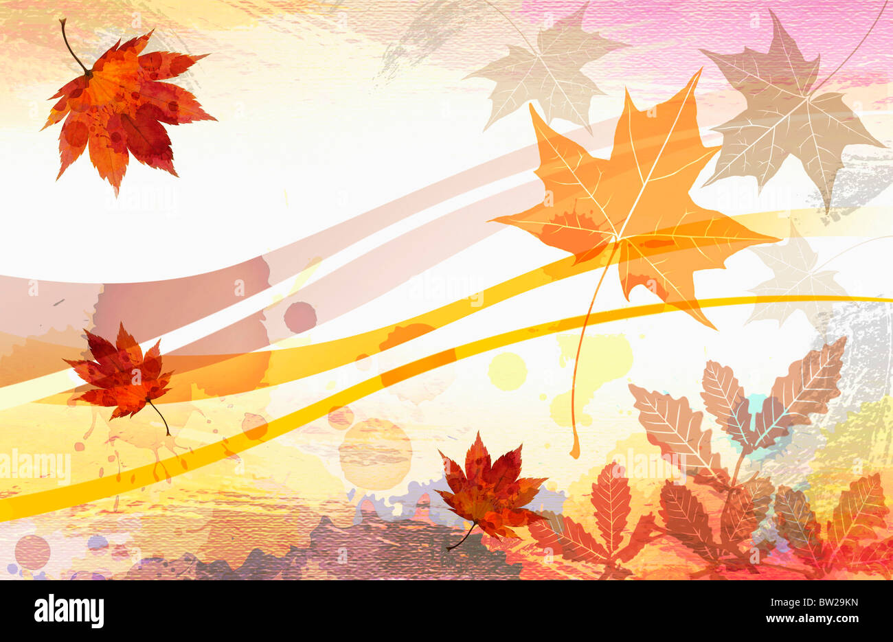 autumn leaves in illustration Stock Photo