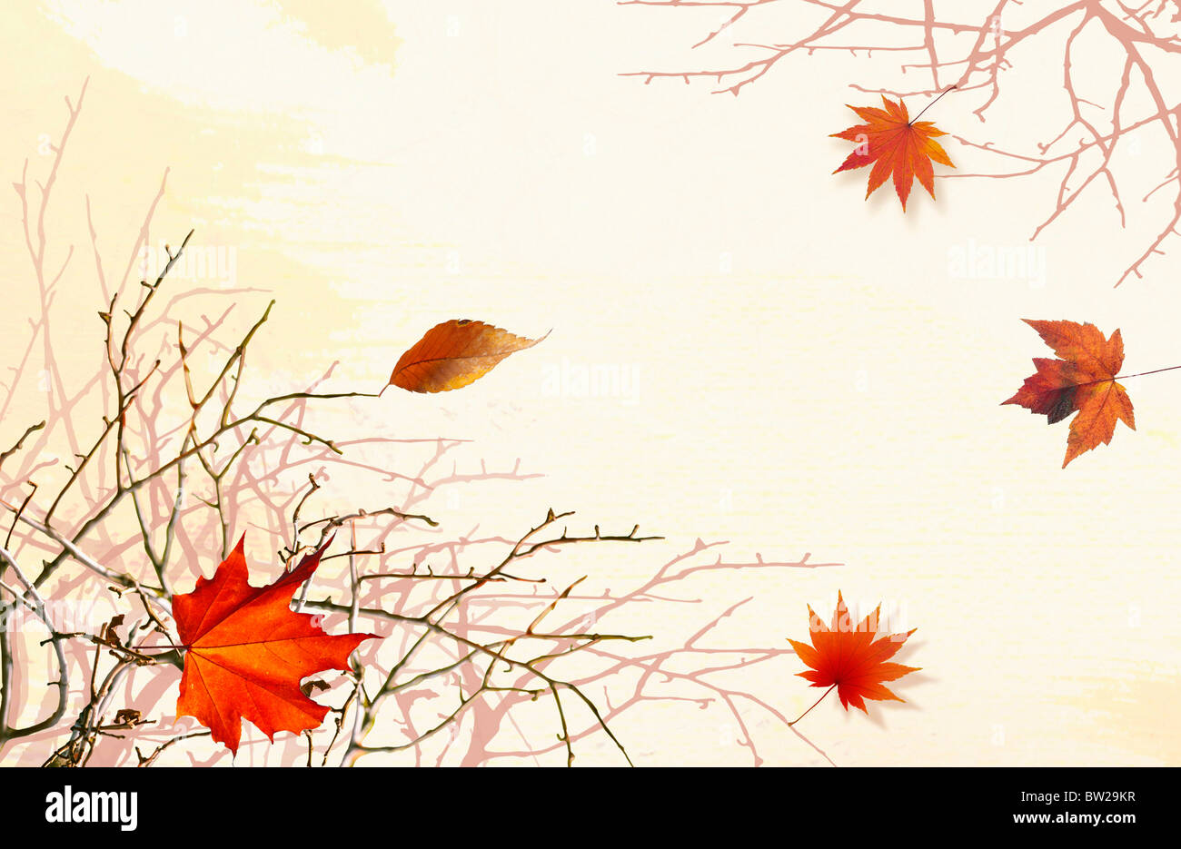 autumn leaves in illustration Stock Photo