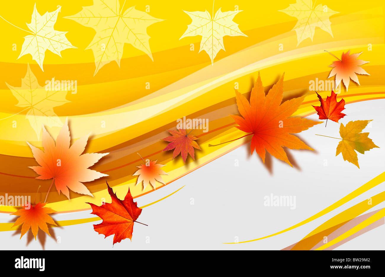 autumn leaves in illustration Stock Photo