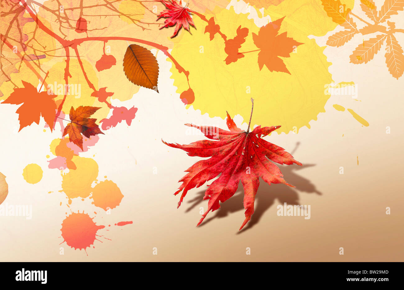 Autumn leaves in illustration hi-res stock photography and images - Alamy