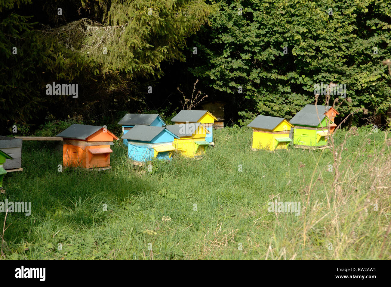 Bee hives france hi-res stock photography and images - Alamy
