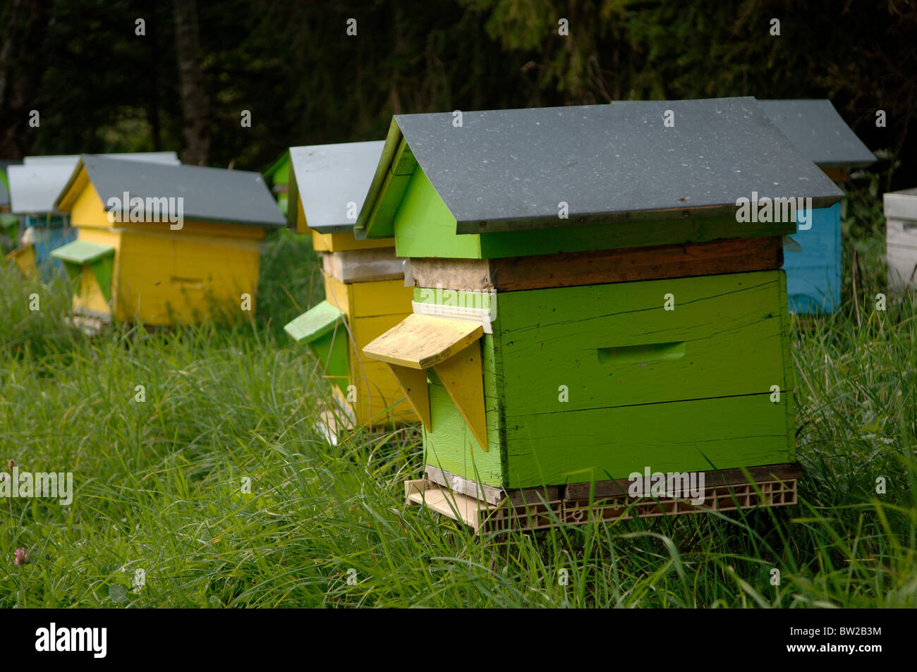 Bee hives france hi-res stock photography and images - Alamy