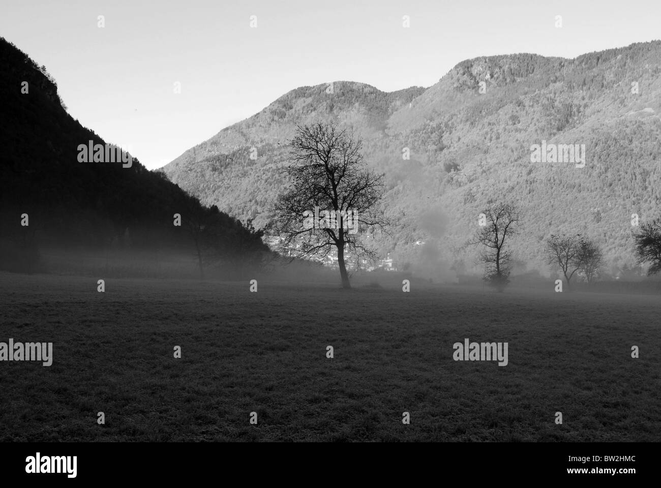 Surrounded by beauty Black and White Stock Photos & Images - Alamy