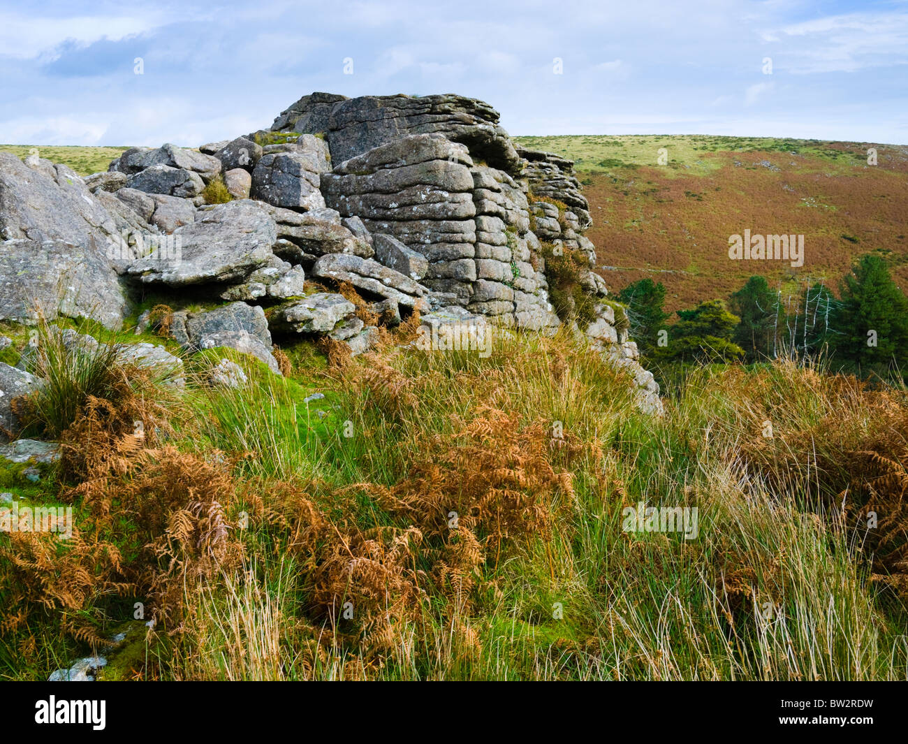Black Tor on Brent Moor in Dartmoor National Park near Didworthy, Devon, England. Stock Photo