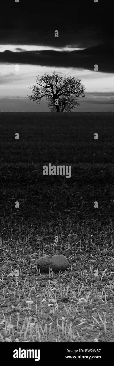 Panoramic sunrise Black and White Stock Photos & Images - Alamy
