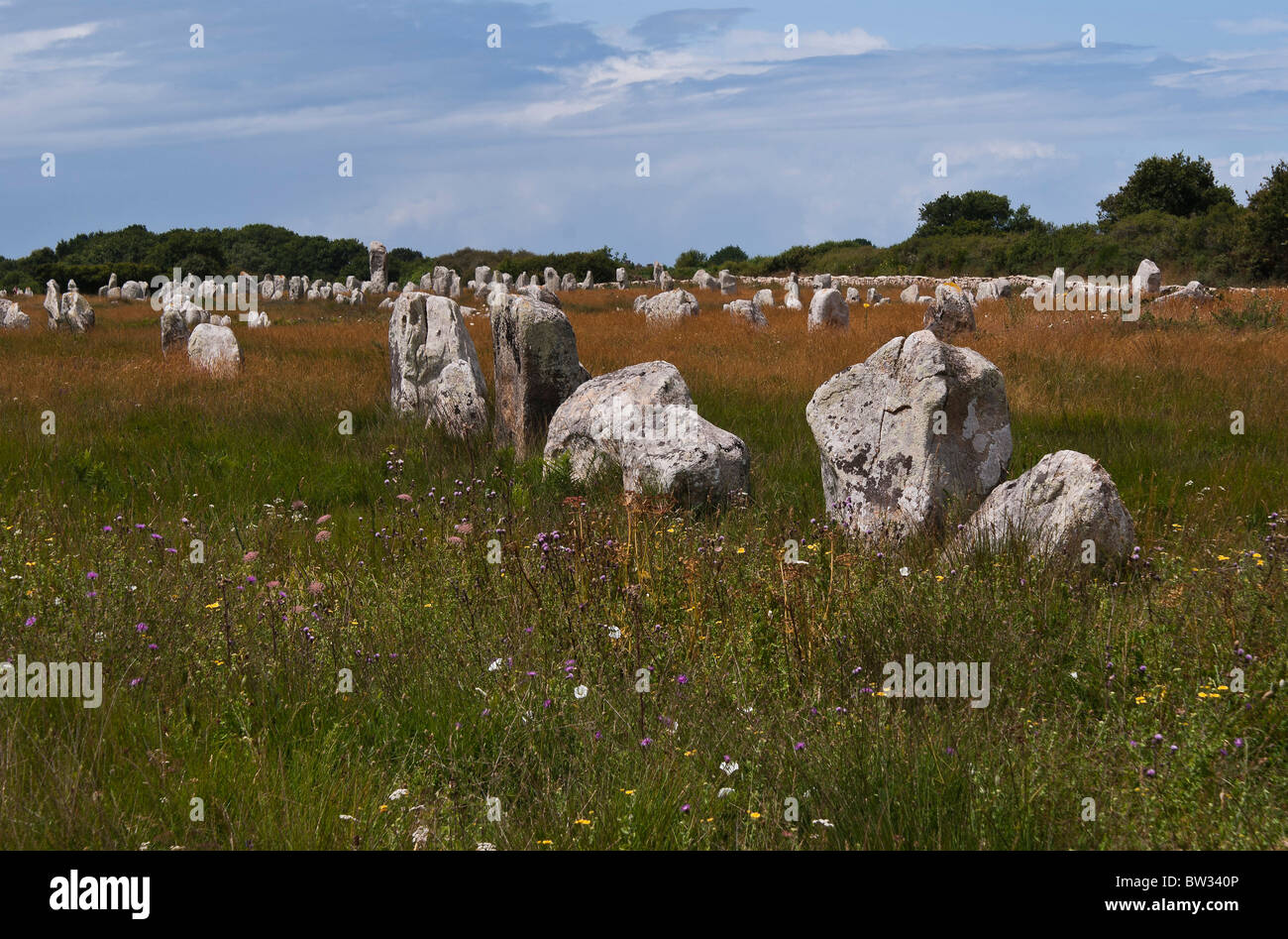 Prehistoric site of Carnac in french Brittany Stock Photo