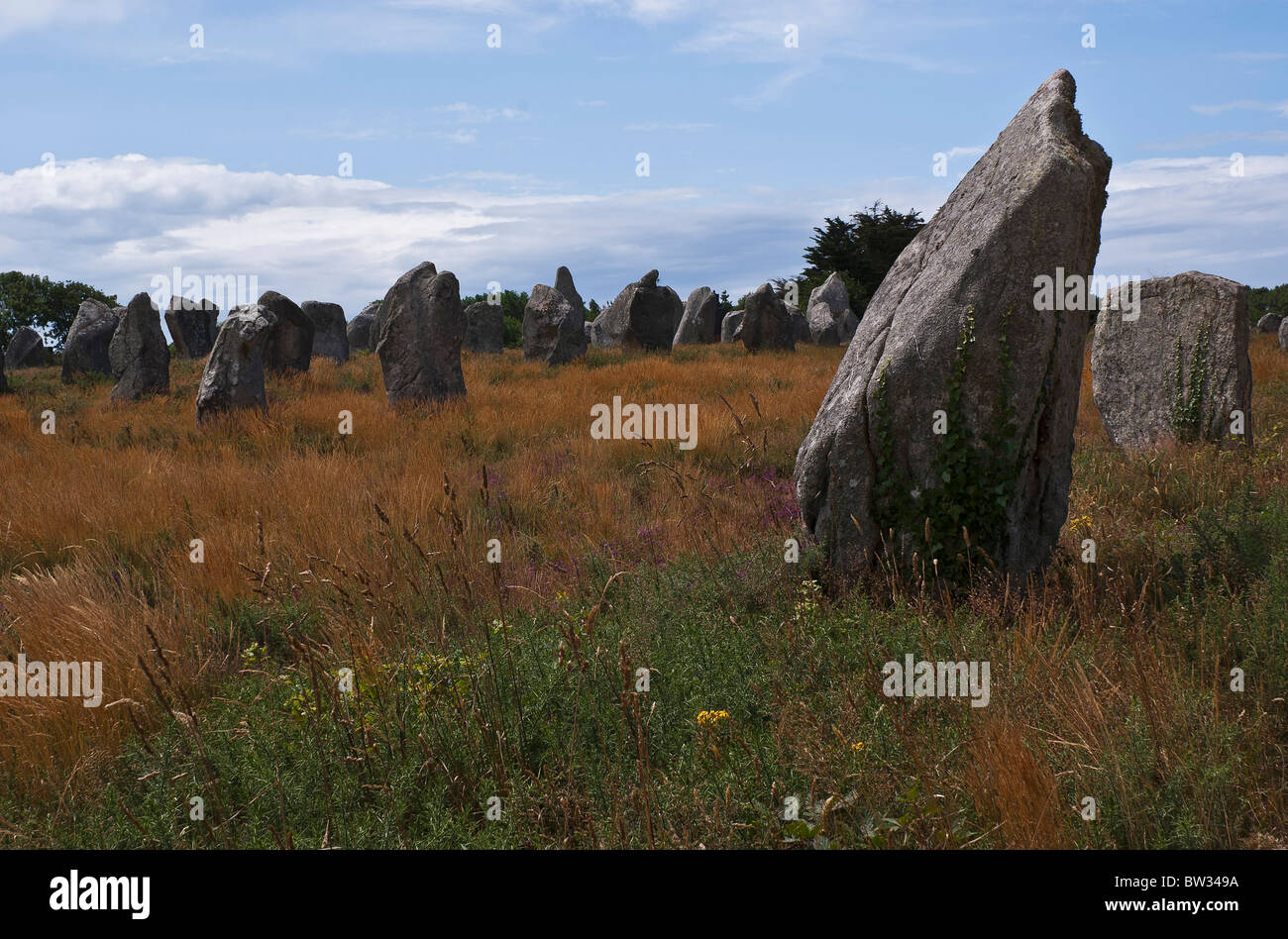 Prehistoric site of Carnac in french Brittany Stock Photo