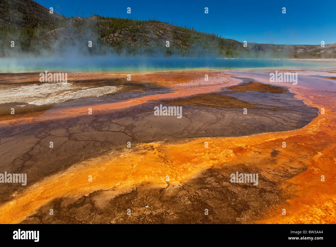 Yellowstone's gorgeous and colorful Grand Prismatic Spring Stock Photo