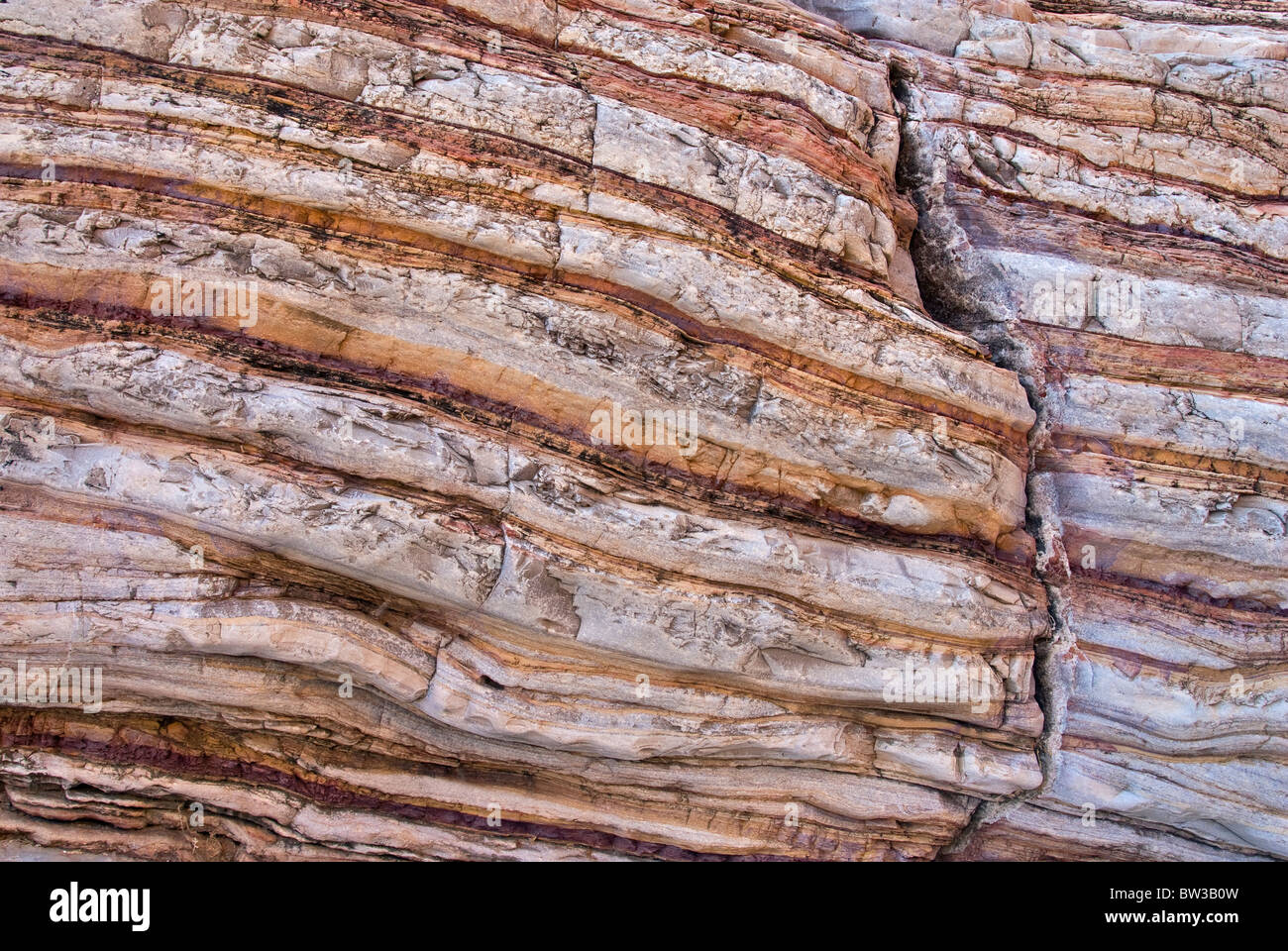 Boquillas formation limestone and shale twisted layers in Ernst Canyon, Chihuahuan Desert in Big Bend National Park, Texas, USA Stock Photo