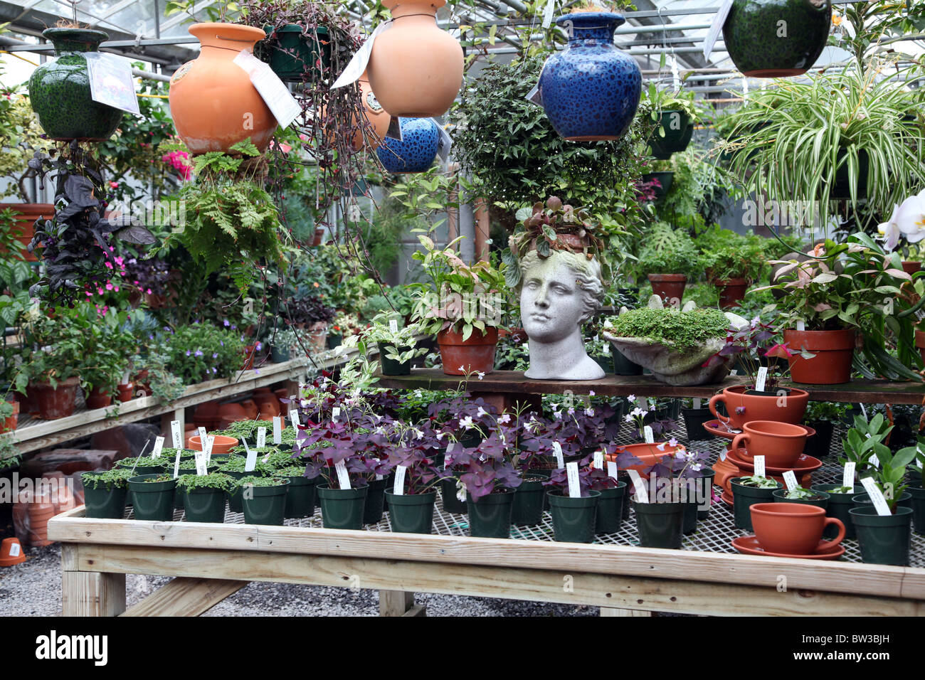 Variety of plants and pots inside a commercial greenhouse Stock Photo