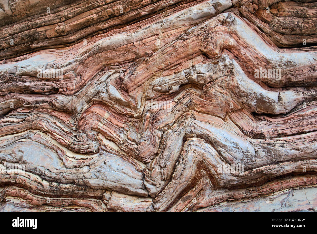 Boquillas formation limestone and shale twisted layers in Ernst Canyon, Chihuahuan Desert in Big Bend National Park, Texas, USA Stock Photo