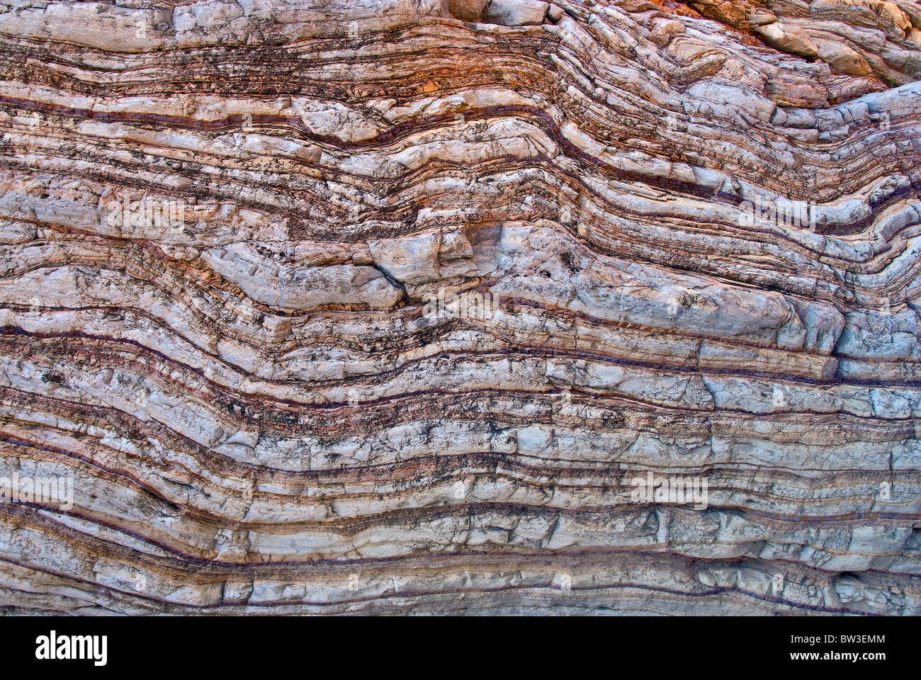 Boquillas formation limestone and shale twisted layers in Ernst Canyon