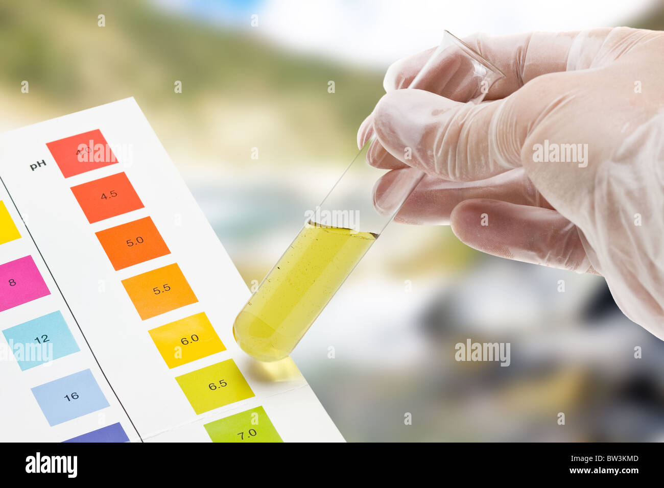 Hand holding test tube with pH indicator comparing color to scale Stock Photo