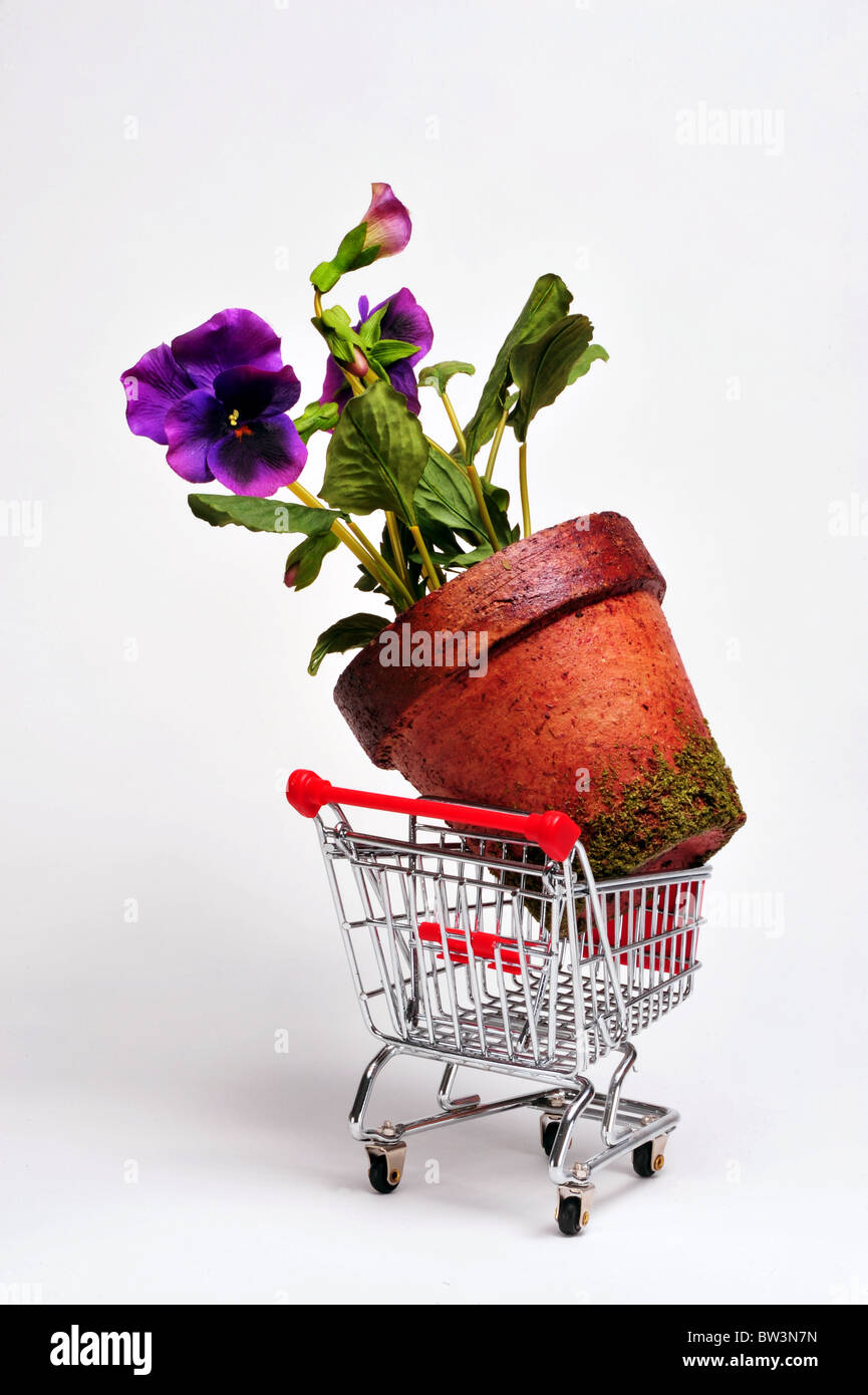 Large Flower Stock Photo