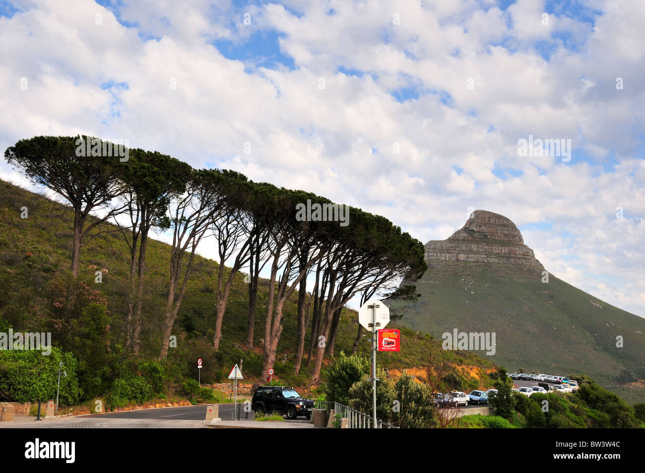 Lion's Head and umbrella thorn trees. Capetown, South Africa Stock