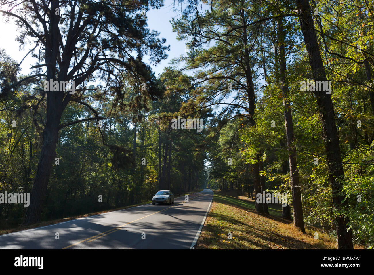 The Natchez Trace Parkway between Lorman and Natchez, Mississippi, USA Stock Photo