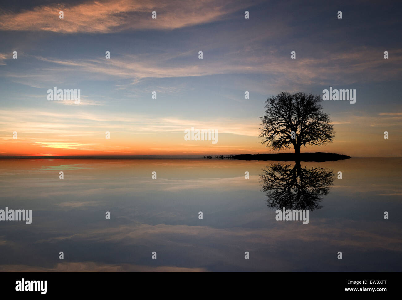 A lone oak tree sits on an island, while its silhouette reflects in the water with a beautiful sunset Stock Photo