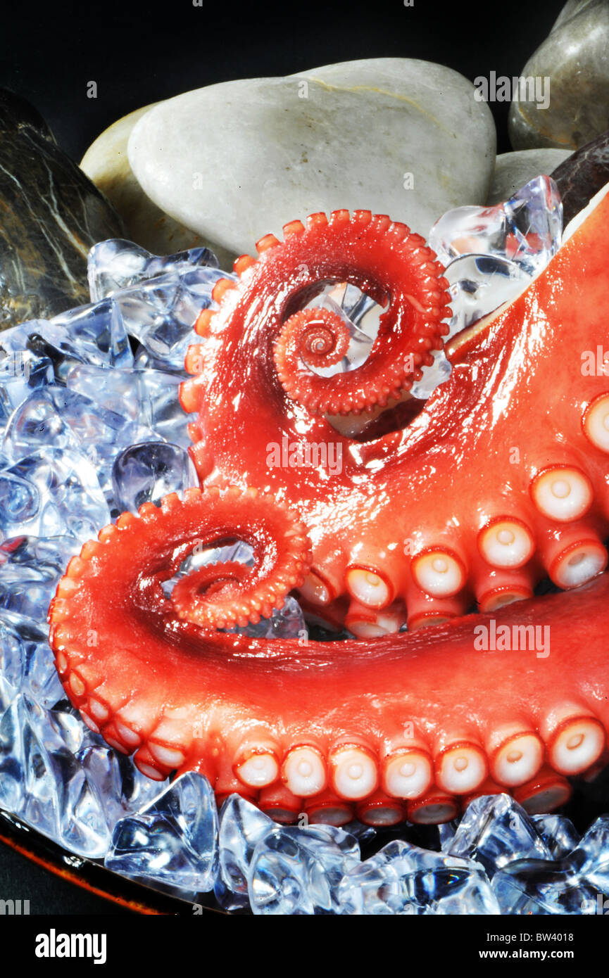 Octopus tentacles ready to eat Stock Photo Alamy