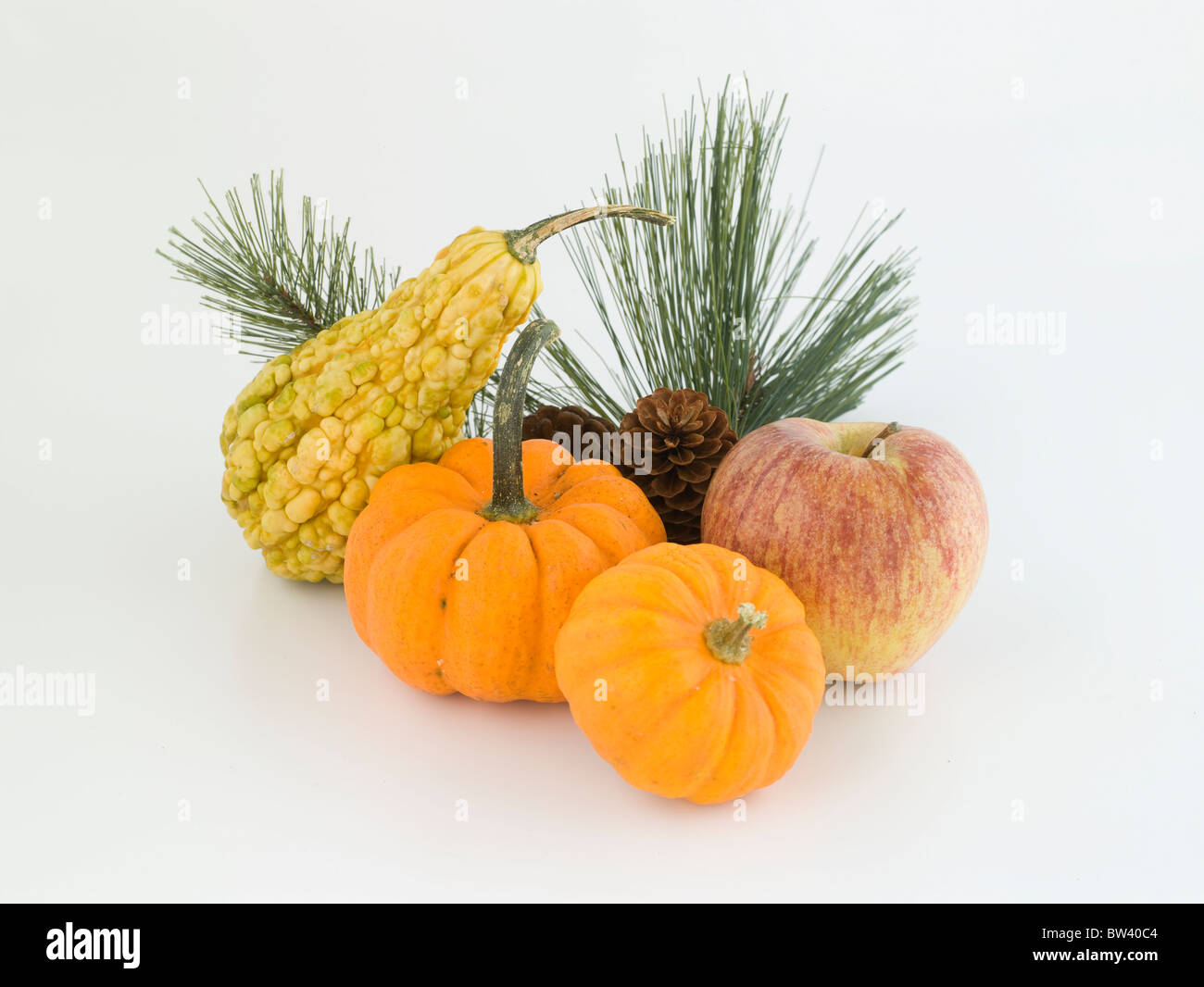 Pumpkin apple and squash on white background Stock Photo