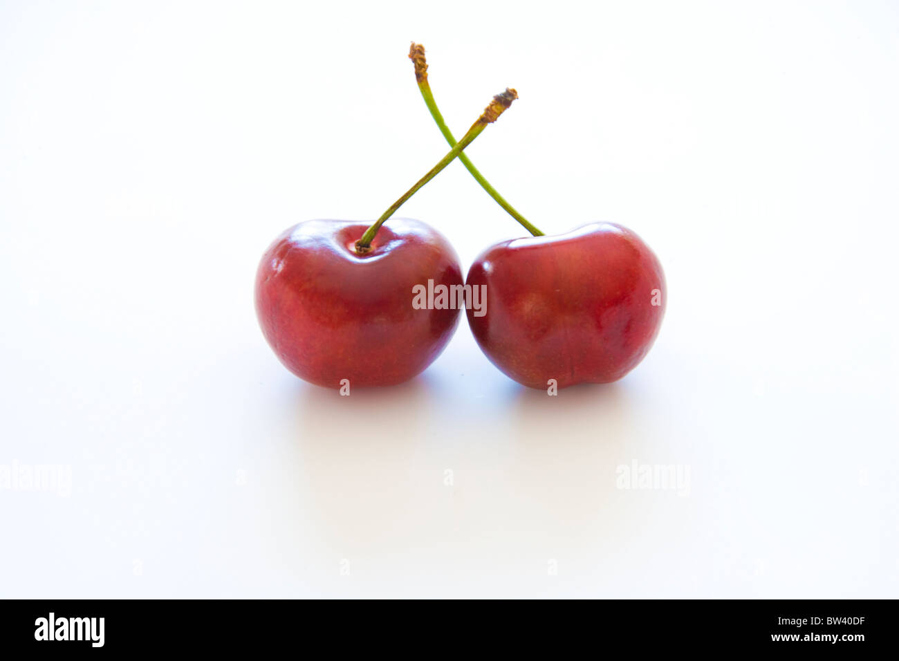 Two cherries on white background Stock Photo